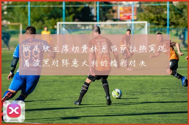 欧足联主席切费林亲临萨拉热窝观看波黑对阵意大利的精彩对决